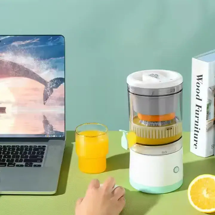 Easy clean fruit juicer